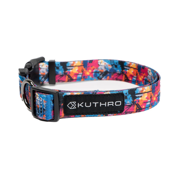 Showing anser premium dog collar.