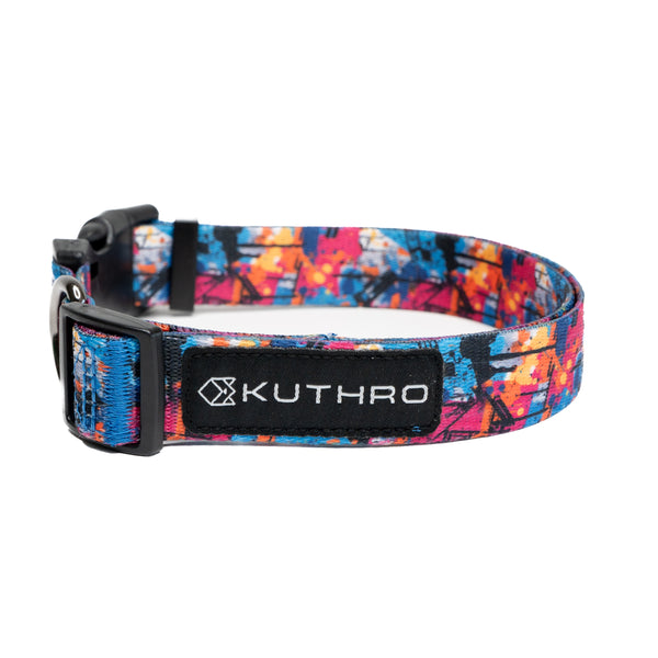 Showing anser premium dog collar.