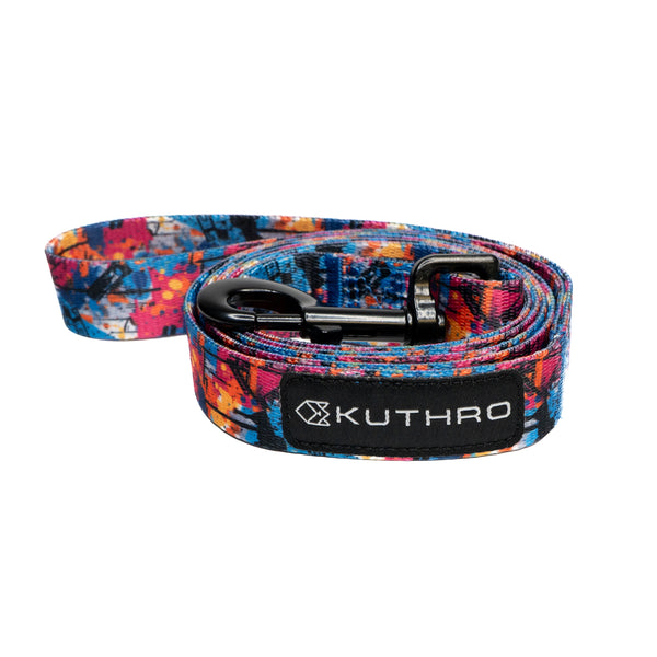 Showing anser premium dog leash.