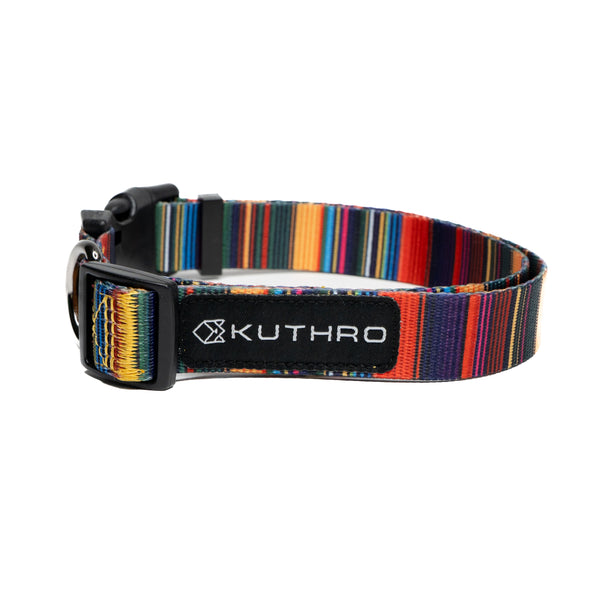 Showing baja premium dog collar.