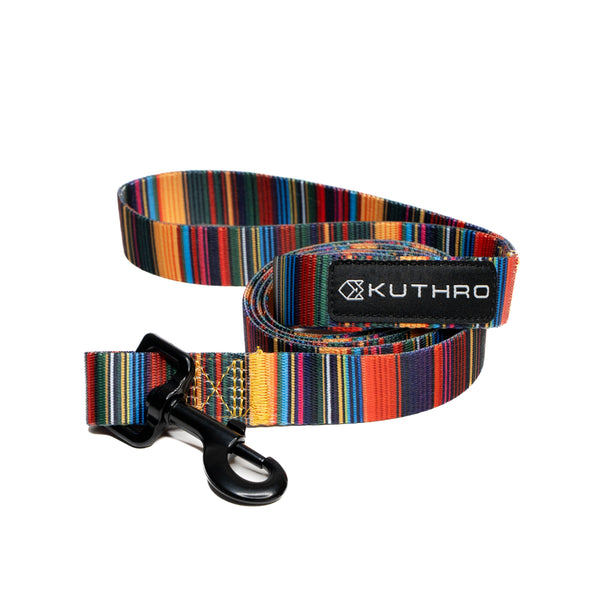 Showing baja premium dog leash.