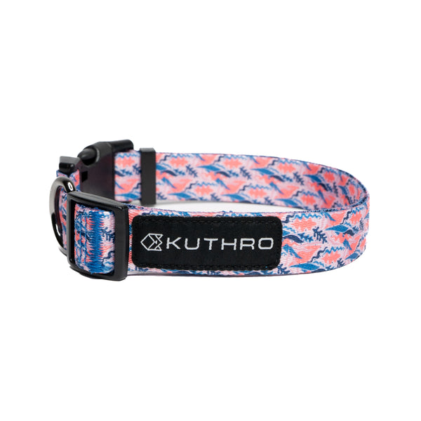 Showing desert premium dog collar.