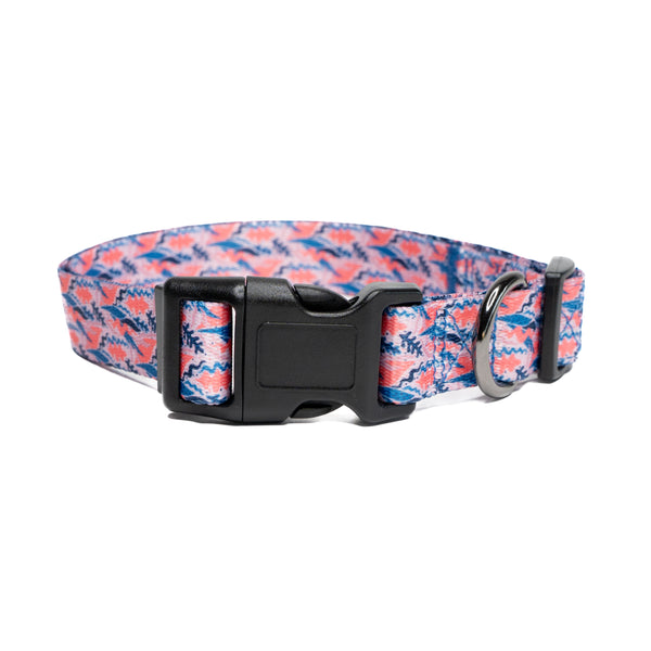 Showing desert premium dog collar.