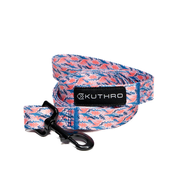 Showing desert premium dog leash.