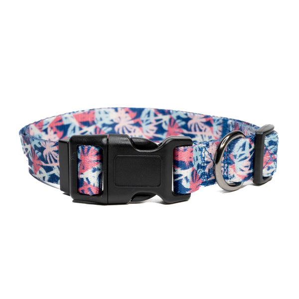 Showing kona premium dog collar.