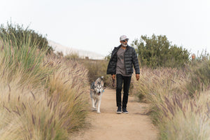 How to Choose the Right Leash for Your Dog