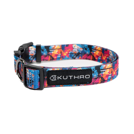 Showing anser premium dog collar.