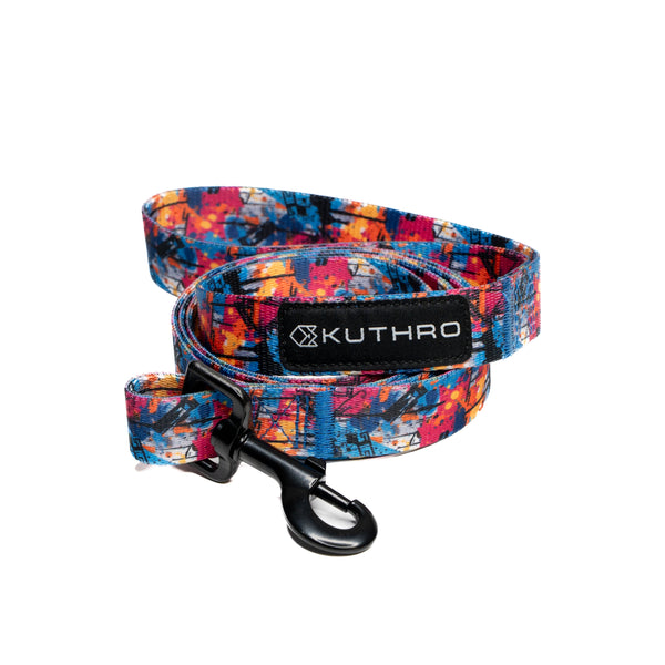 Showing anser premium dog leash.
