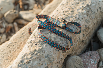 The Kuthro Azteca premium dog leash on a boulder at the beach.