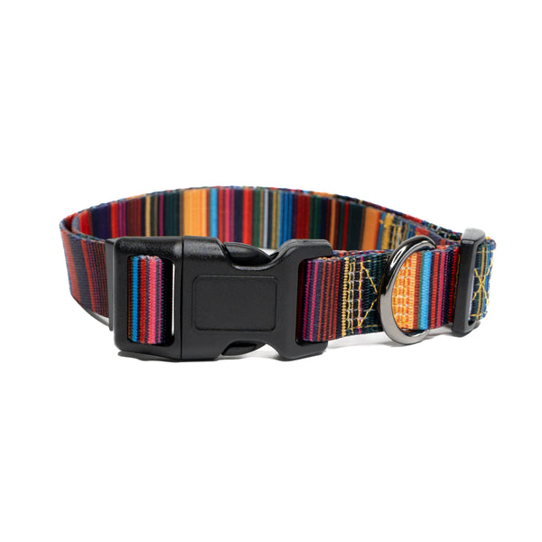 Showing baja premium dog collar.