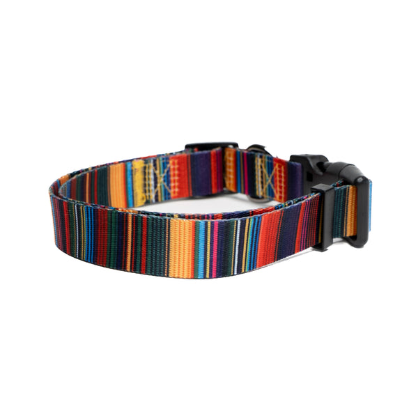 Showing baja premium dog collar.