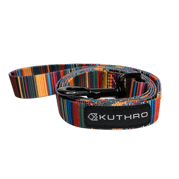 Showing baja premium dog leash.