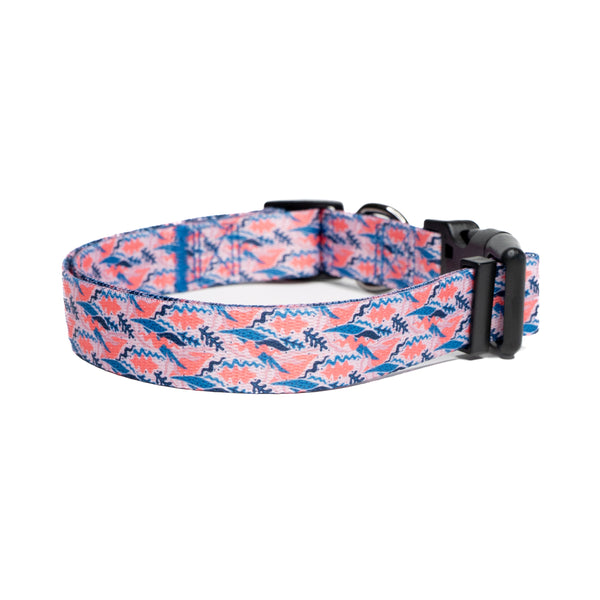 Showing desert premium dog collar.