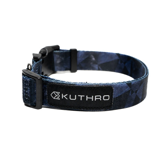 Showing ender premium dog collar.