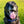 Showing dog wearing geometry premium dog collar.