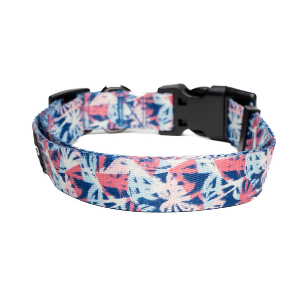 Showing kona premium dog collar.