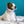 Kona Premium Dog Collar and Leash