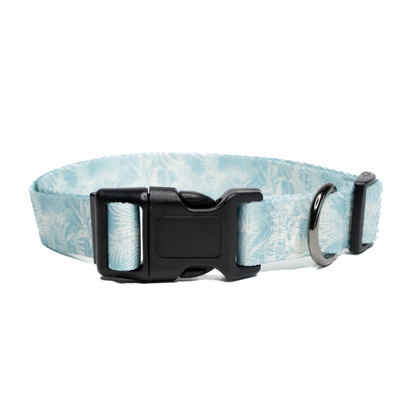 Showing palms premium dog collar.