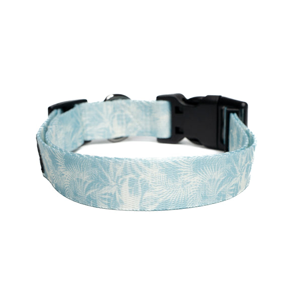 Showing palms premium dog collar.