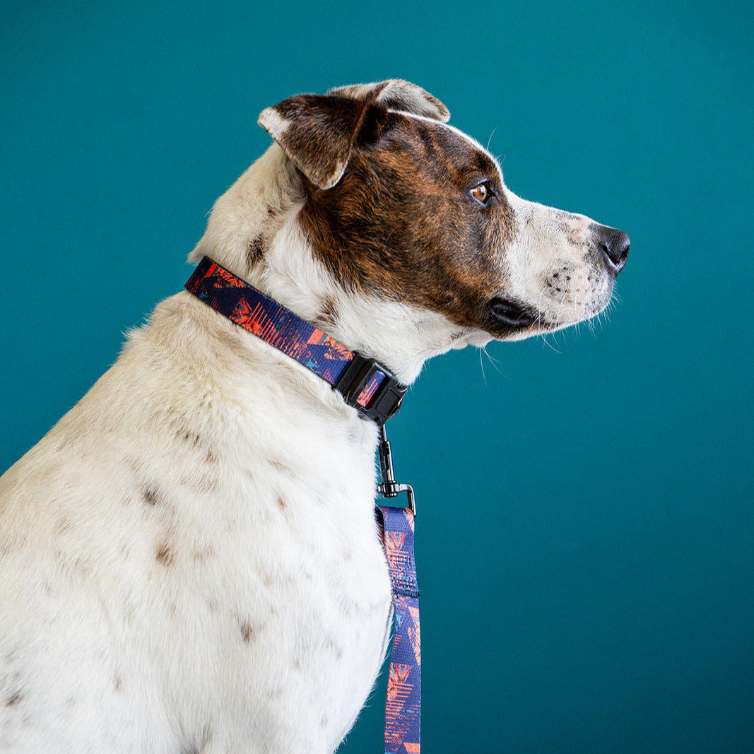 A Kuthro leather dog leash